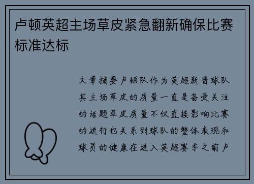 卢顿英超主场草皮紧急翻新确保比赛标准达标 卢顿英超主场草皮紧急翻新确保比赛标准达标